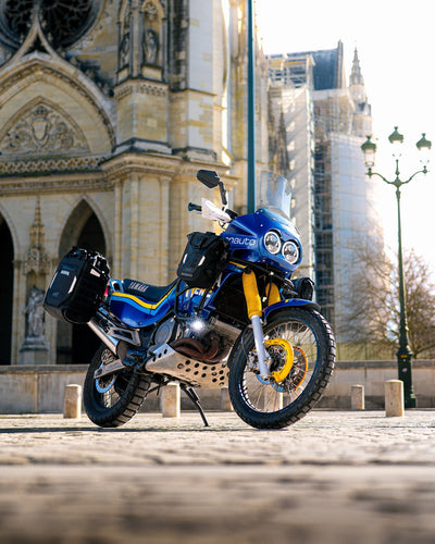 Pedane LOBOO per BMW GS – dettaglio 17