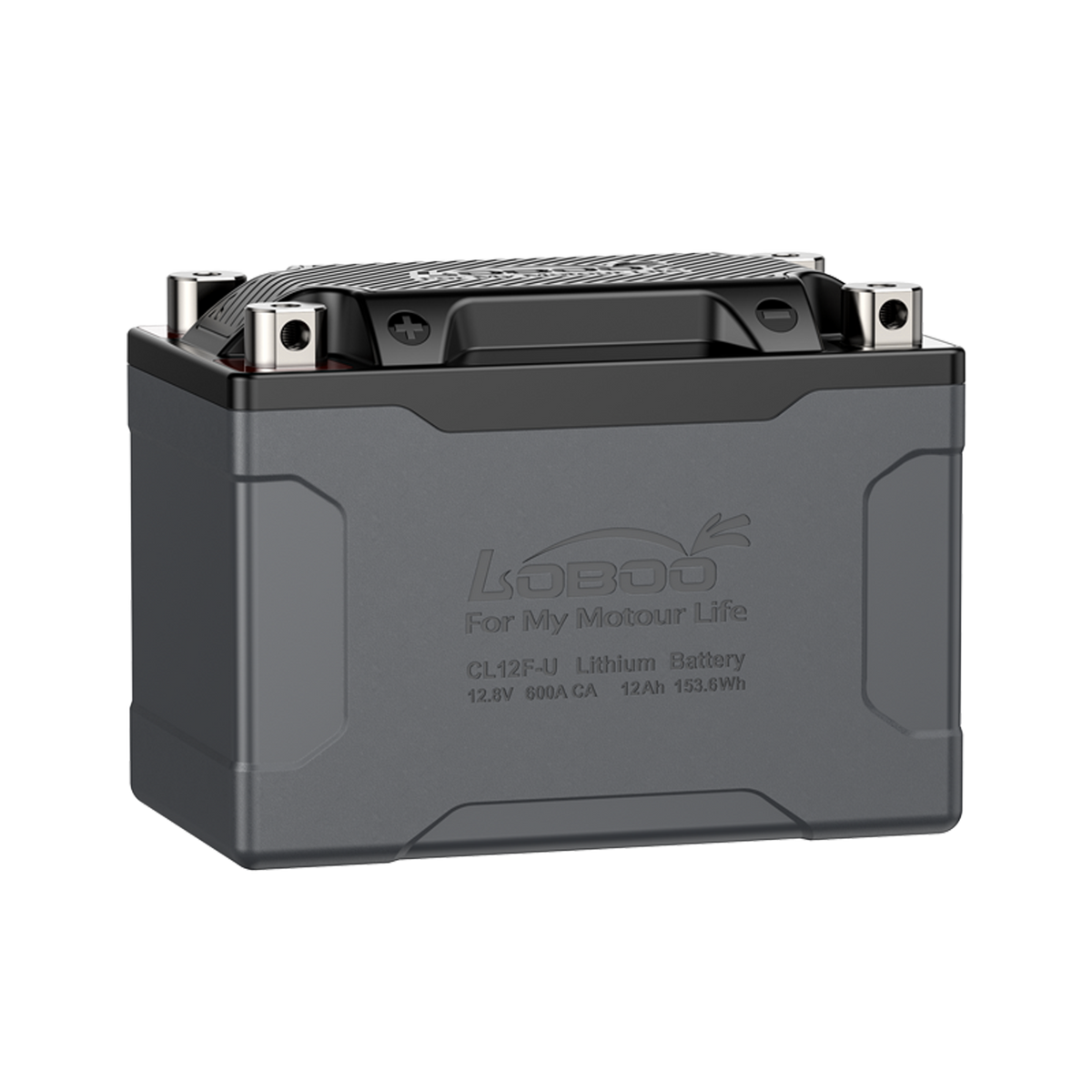 Batteria al litio LOBOO CL12F-U LiFePO4 da 12 Ah e 600 A, vista frontale