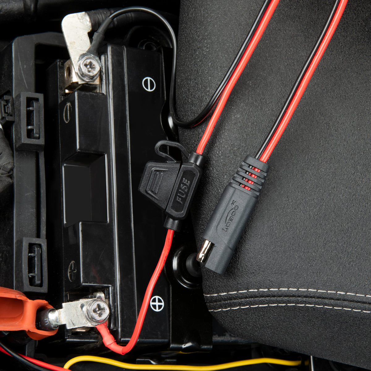 Connettore SAE lasciato accessibile accanto alla batteria, pronto per il mantenitore di carica